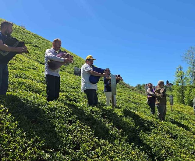 Rize Ardeşen'de 'Bir Yaprakla Başlar' sloganıyla çay sezonu açıldı
