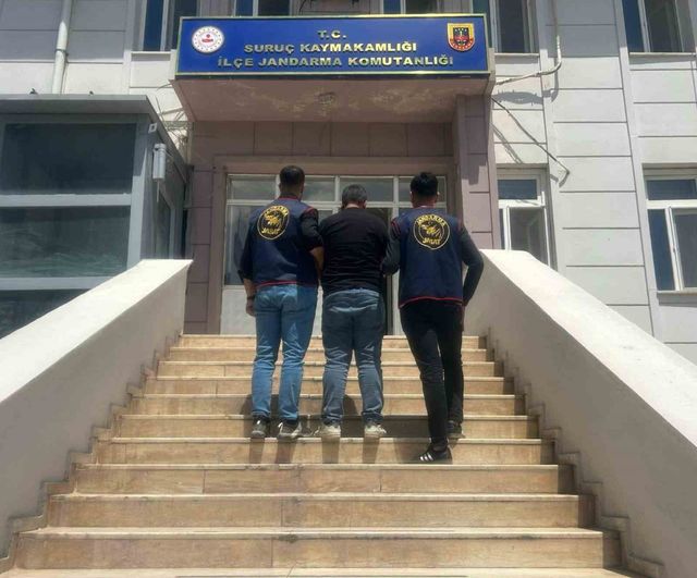 Şanlıurfa Suruç'ta dolandırıcılıktan hükümlü M.D. yakalandı