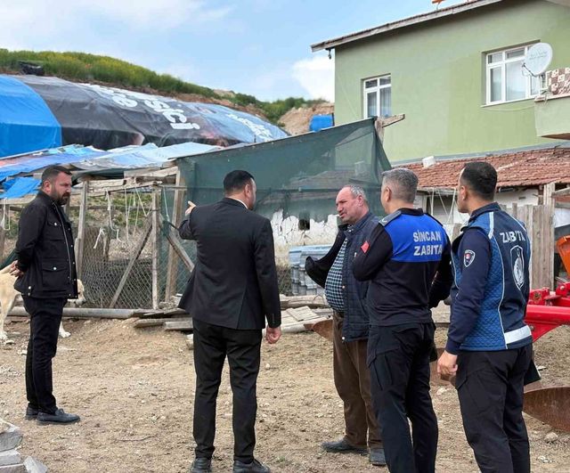 Sincan'da ruhsatsız hayvancılık denetimleri sırasında satıcılarla zabıta arasında gerginlik
