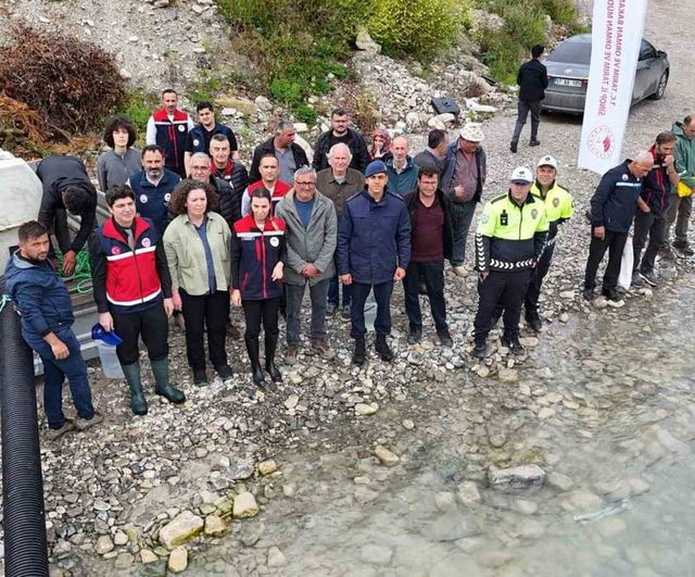 Sinop’un Gerze ilçesinde 2 bin mersin balığı Karadeniz’e salındı