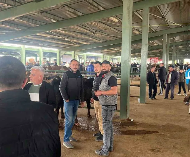Tavşanlı Hayvan Pazarında Kurbanlık Hareketliliği: Fiyatlar ve Beklentiler