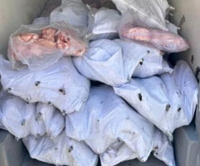 Tekirdağ'da jandarma ihbarıyla 1,5 ton iç yağ ve 140 kokoreç imha edildi