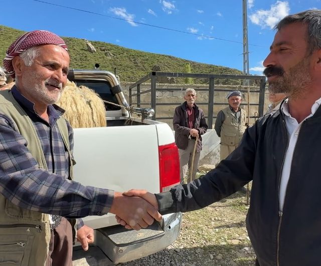 Yüksekova'da canlı hayvan pazarında Kurban Bayramı öncesi hareketlilik