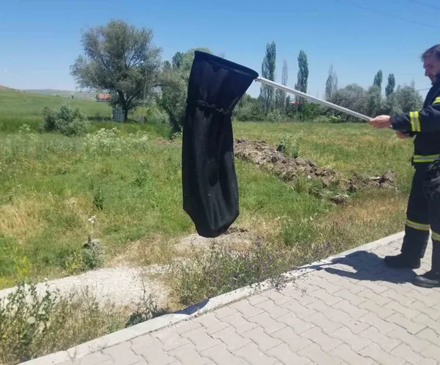 Alaca'da eve giren yılan itfaiye tarafından yakalanıp doğaya salındı