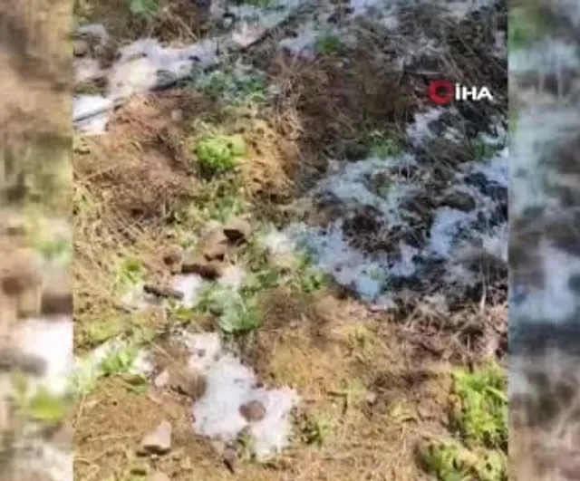 Alaşehir'de bilye büyüklüğünde dolu bahçelerde hasara yol açtı