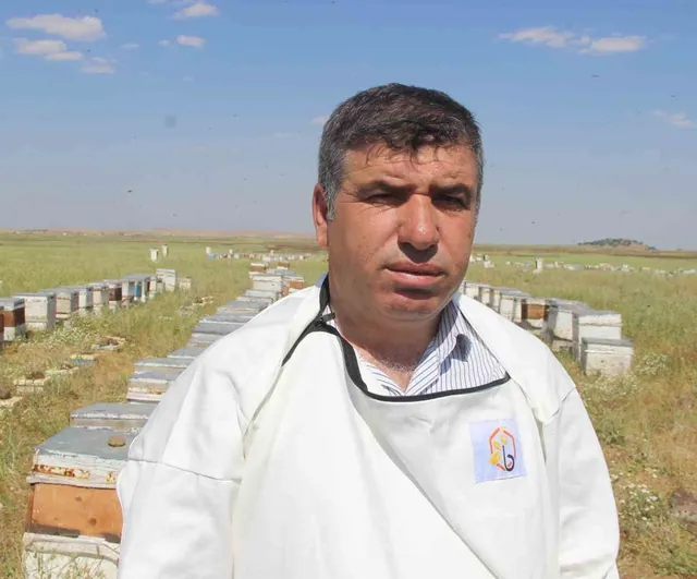 Alem Dağı'nda endemik bitkilerle üç kuşaktır Ordu'lu Yılmaz ailesi İdil'de arıcılık yapıyor