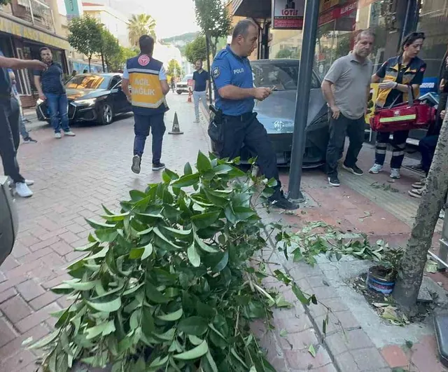 Amasra'da fren yerine gaza basan sürücü kaldırıma çıktı, iki ağacı devirdi ve duvara çarptı