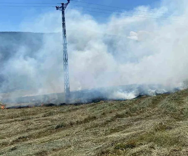 Anız yangını ormana sıçramadan söndürüldü