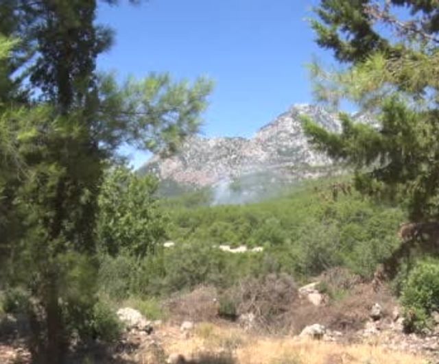 Antalya’da ormanlık alanda çıkan yangın büyümeden kontrol altına alındı