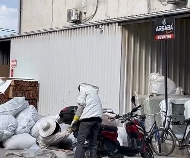 Arılar motosiklette oğul verdi