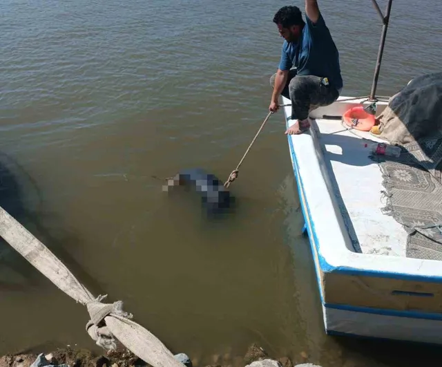 Asi Nehri'nde erkek cesedi bulundu