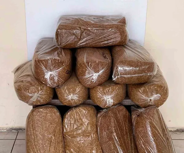 Bafra’da 60 kilo kaçak tütün ele geçirildi; iş yeri sahibi hakkında işlem başlatıldı