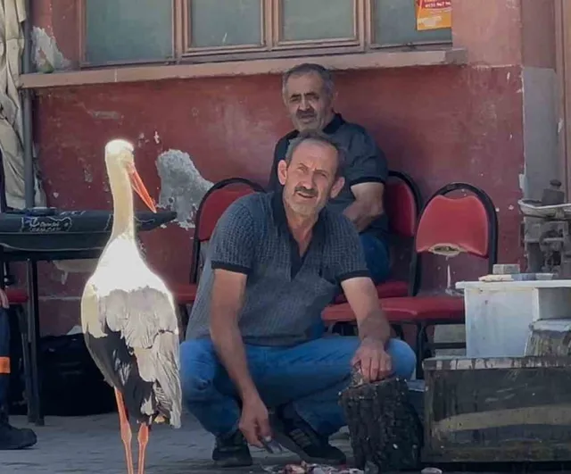 Balıkçı Ahmet ile leyleğin 10 yıllık kahvehane randevusu