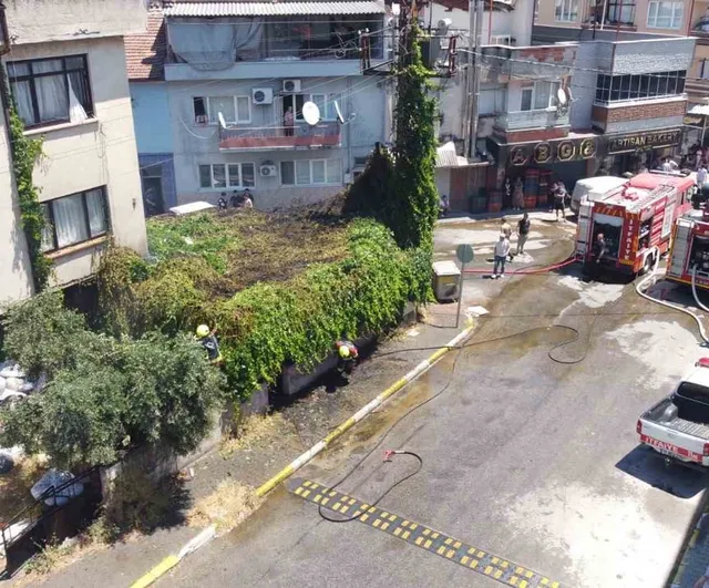 Balıkesir Altıeylül'de Bahçe Çardağında Çıkan Yangın Kontrol Altına Alındı