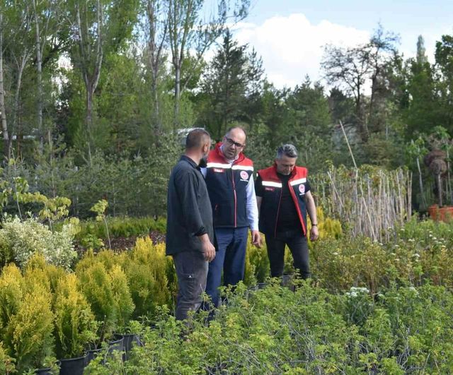 Bayburt'ta süs bitkisi ve tıbbi-aromatik bitki üretimi yerinde incelendi