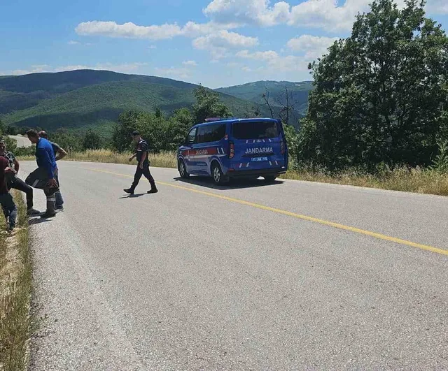 Bilecik'te otomobil ormanlık alana devrildi: 1 kişi hafif yaralandı