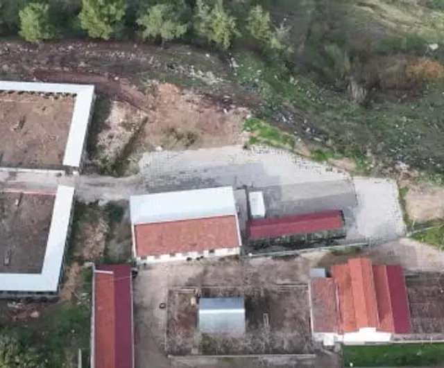 Bilecik'te yaralı çakal tedavi edilip doğal ortamına teslim edildi