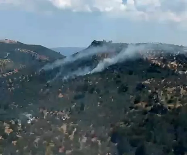 Burhaniye'de zeytinlik yangını kontrol altına alındı