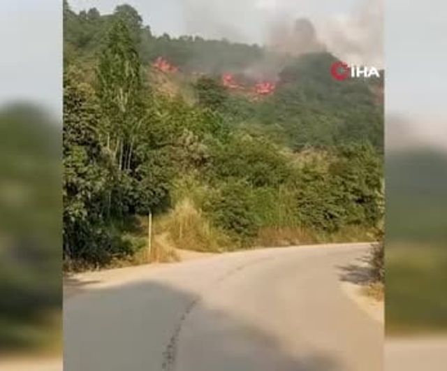 Bursa'nın Gemlik ilçesinde makilik yangın kontrol altına alındı