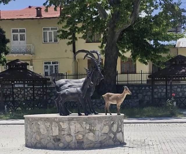 Çemişgezek’te gerçek ve heykel aynı karede: Yaban keçisi Hükümet Konağı önünde durdu