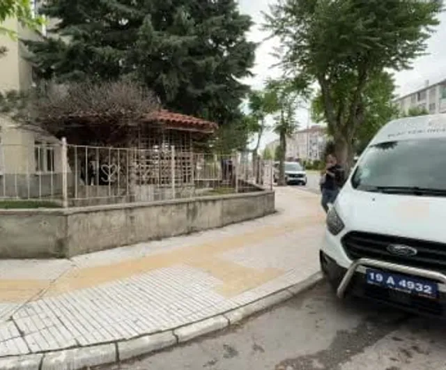 Çorum'da kamelyada monta sarılı tüfek bulundu