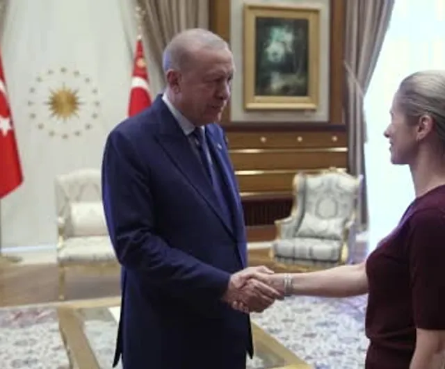 Cumhurbaşkanı Erdoğan, AB temsilcilerini kabul etti