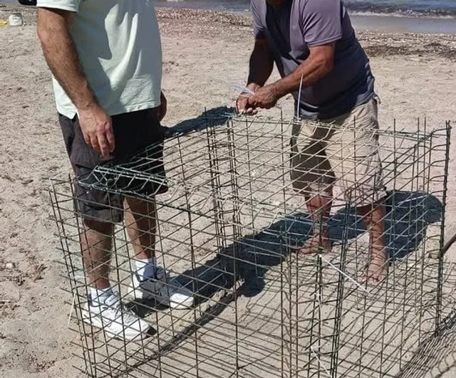 Didim'de caretta carettaların bu sezon ikinci yuvası koruma altına alındı