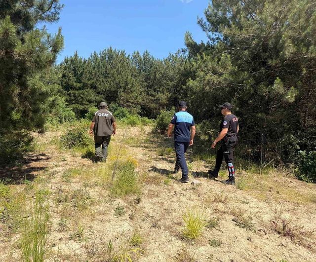 Dilovası'nda orman yangını riskine karşı ortak denetimler