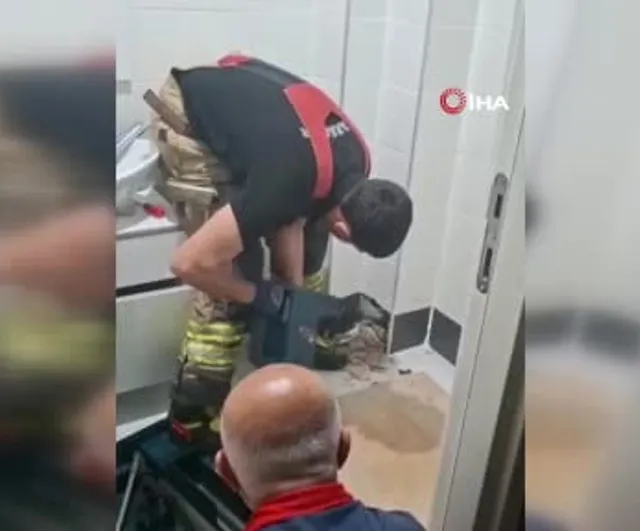 Diyarbakır'da itfaiye ekipleri havalandırma boşluğunda mahsur kalan yavru kediyi kurtardı