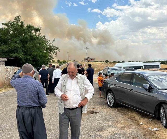 Diyarbakır Eğil'de ekili arazide yangın: yüzlerce dönüm buğday tarlası kül oldu