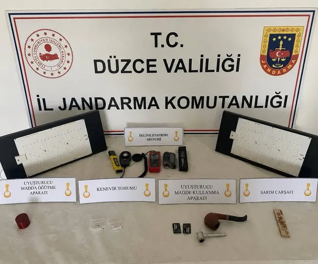 Düzce'de jandarmadan yasa dışı kenevir operasyonu