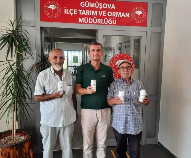 Düzce'de kahverengi kokarca ile mücadelede 72 bin metruk bina ilaçlandı