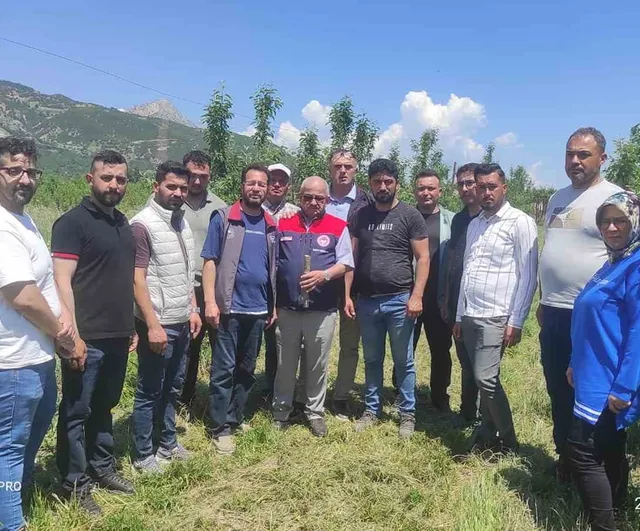 Eğirdir'de Meyve Ağaçlarında Budama ve Aşılama Kursu Tamamlandı — 16 Kursiyere Sertifika Verildi