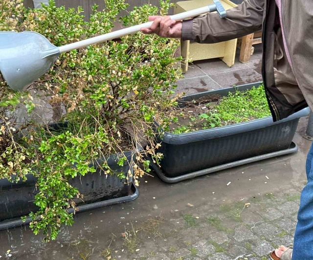 Eskişehir'de altyapı yetersizliği nedeniyle biriken yağmur suyu, vatandaş tarafından saksılardaki bitkileri sulamak için kullanıldı