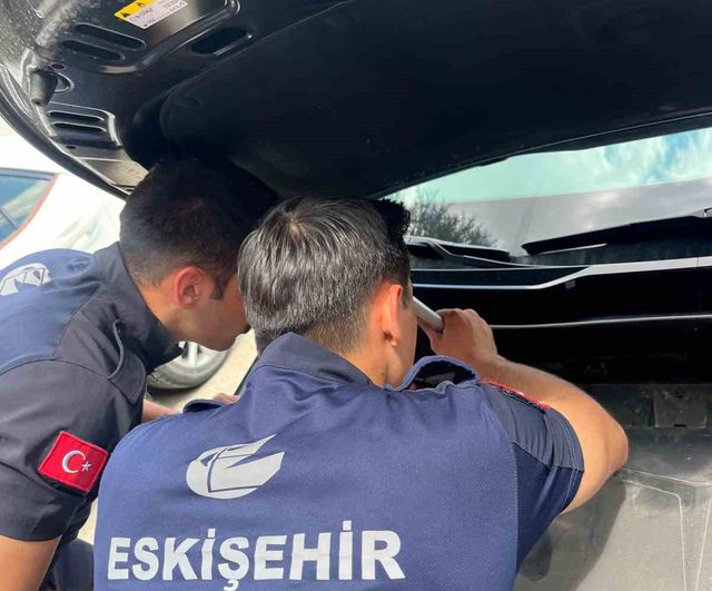 Eskişehir'de motor bölümüne sıkışan kedi itfaiye tarafından kurtarıldı