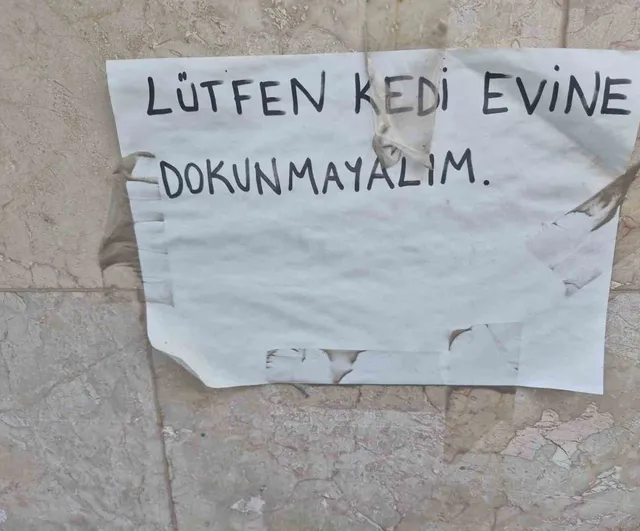 Eskişehir'de sokak kedileri için iki karton ev yapan vatandaş not bıraktı