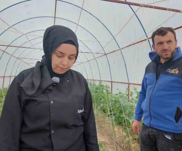 Gediz Ilıca Termal Tatil Köyü'nde 'Tarladan Sofraya' ile organik üretim ve yerel lezzetler