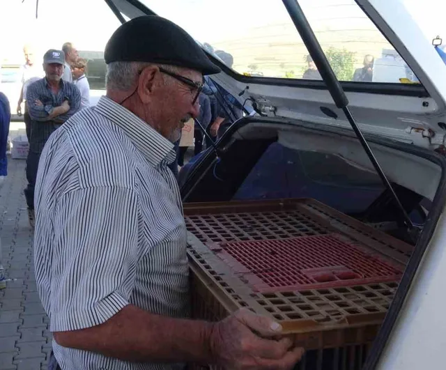 Gercüş’te 107 üreticiye yüzde 75 hibeli tavuk ve yem dağıtımı