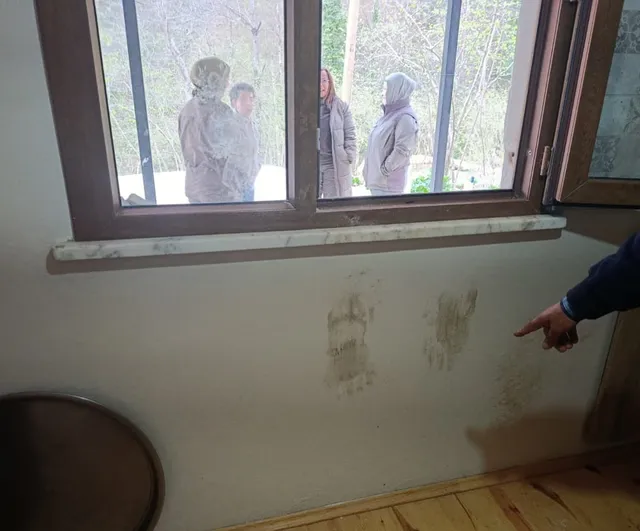 Giresun'da üç bölgede kontrollü ayı müdahalesine izin verildi