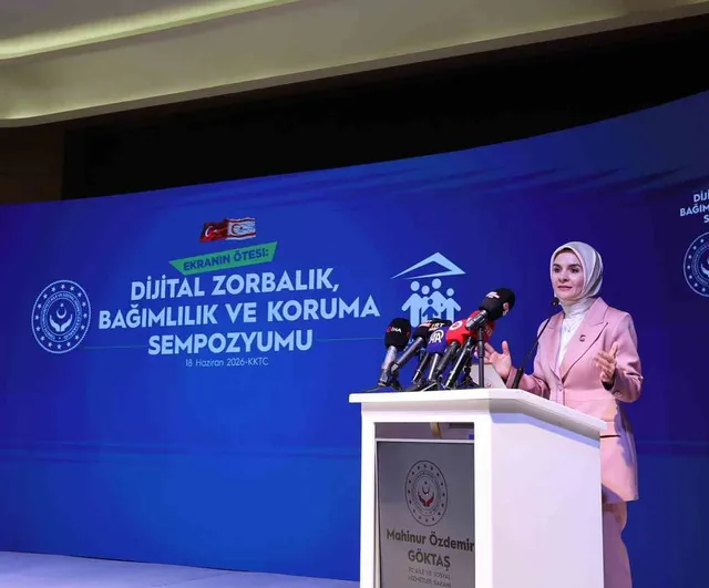 Göktaş: dijital risklerle mücadele uluslararası iş birliği gerektiriyor