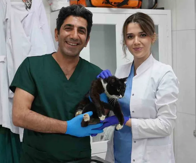 Gürsu Hayvan Bakım Merkezi cerrahi başarılarıyla sokak hayvanlarına umut oluyor