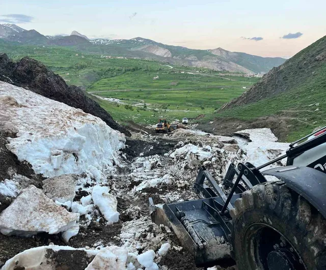 Hakkâri'de kar mağarasına düşen tosun AFAD ve belediye ekiplerince sağ salim kurtarıldı