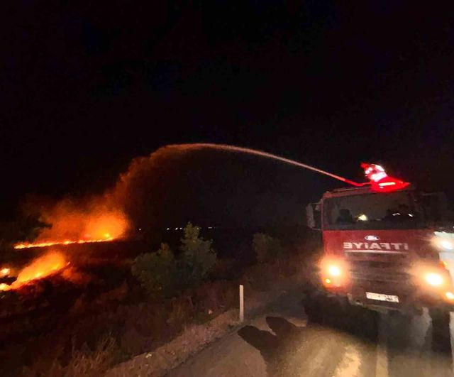 Hatay'da anız yangını zeytinliğe sıçradı: Kırıkhan'da yaklaşık 200 dönüm zarar