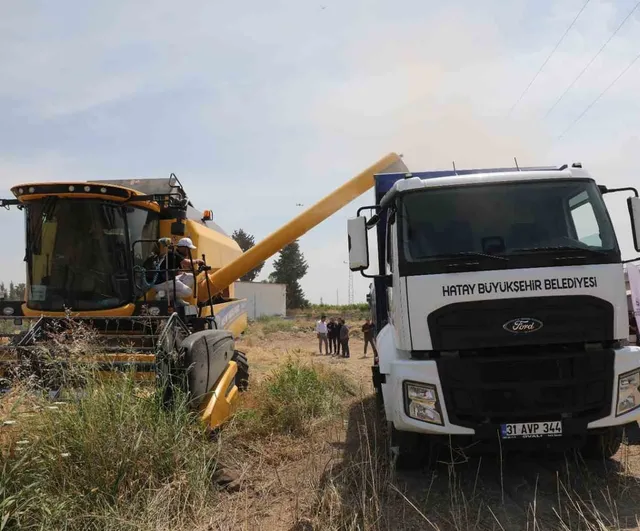 Hatay'da 'Her Tohum Bir Gıda' projesiyle 52 dekarlık buğday hasadı