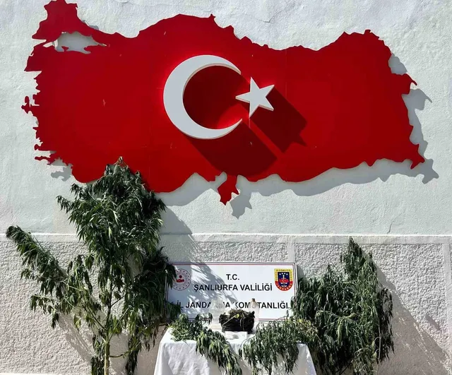 Hilvan'da uyuşturucu operasyonunda 1 gözaltı