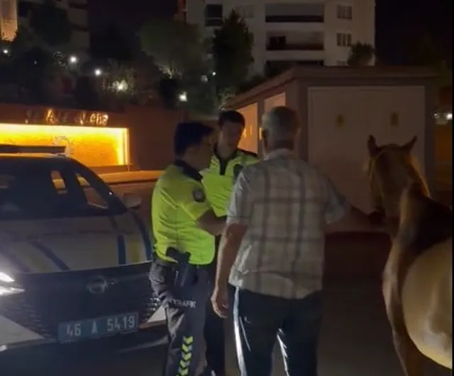 Kahramanmaraş'ta kaçan iki at trafik polisleri tarafından sahibine teslim edildi