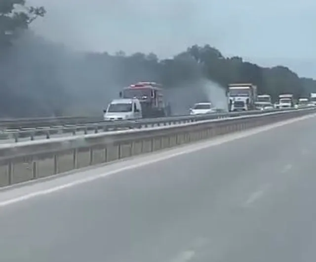 Karacabey'de İzmir-Bursa Karayolu TİGEM Bölgesinde Kuru Ot Yangını Kontrol Altına Alındı