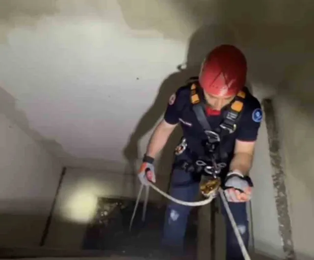 Karamürsel'de apartman boşluğuna düşen yavru martı kurtarıldı
