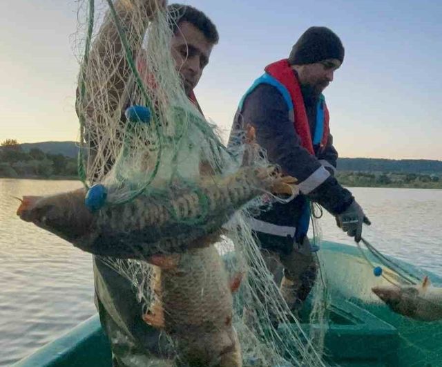 Kastamonu'da Beyler Barajı'nda 3 hayalet ağ ele geçirildi, yaklaşık 200 kg sazan kurtarıldı