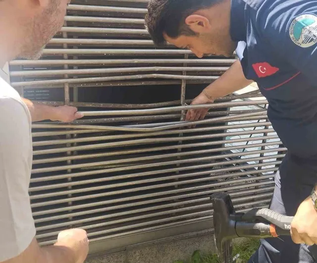 Kayseri'de havalandırma boşluğuna sıkışan kedi kurtarıldı